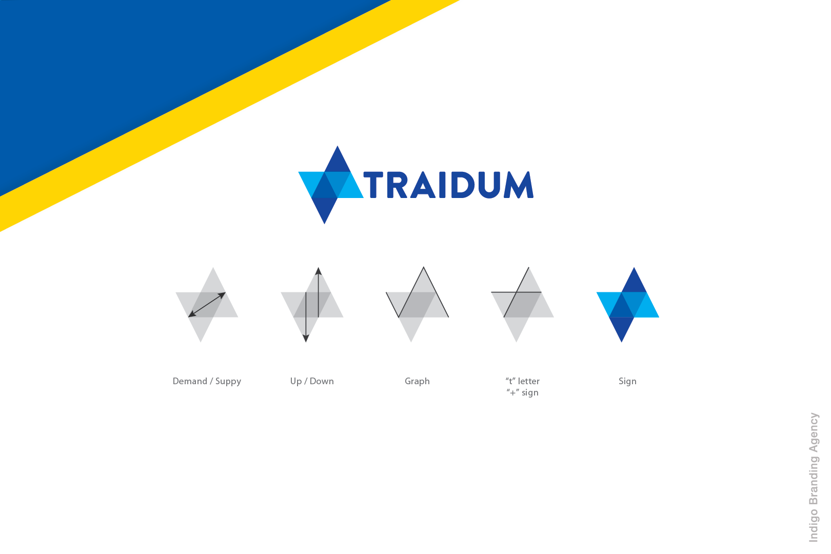 Traidum branding and logo design by Indigo branding