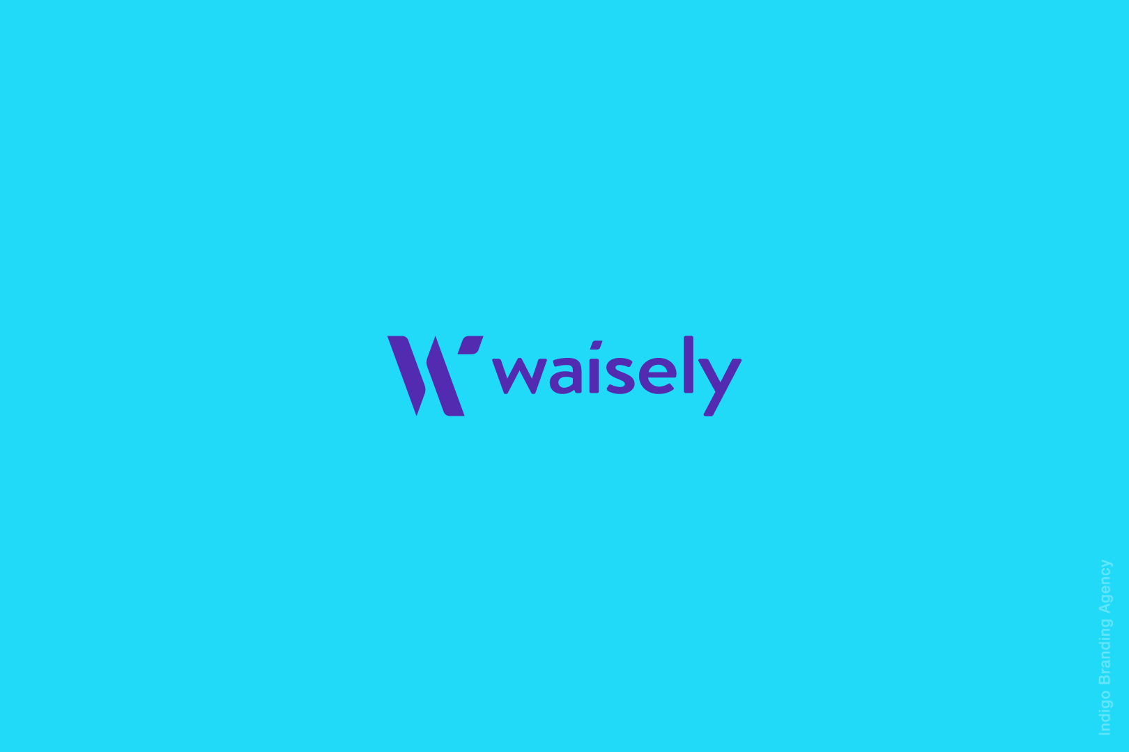 Waisely branding and logo design by Indigo branding