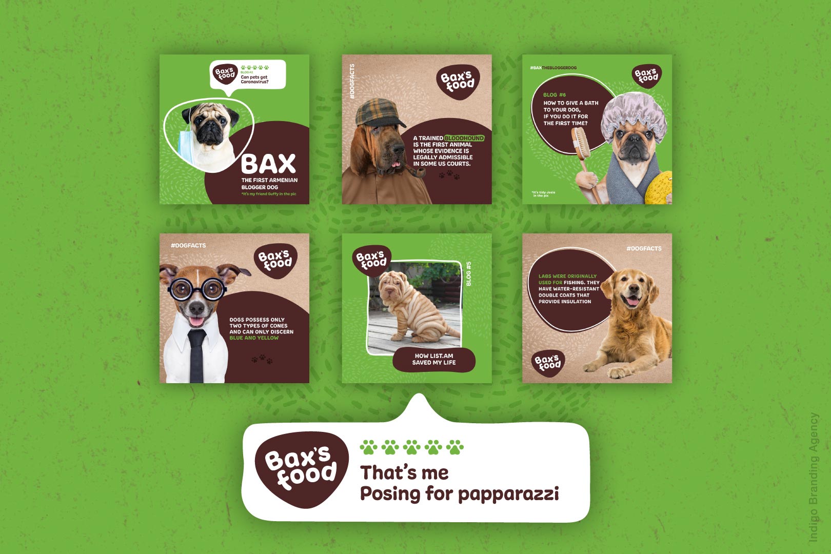 Bax’s Food branding and packaging design by Indigo branding