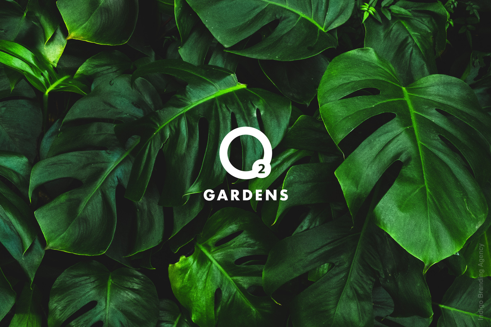 O2 Gardens by Profal group branding logo design visit card design by Indigo Branding Yerevan